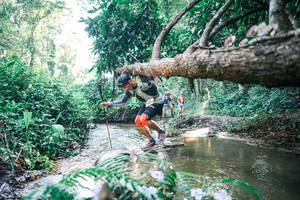 BIB: 
                            <button type="button" onclick="openModal(25438156)" class="btn btn-primary btn-sm float-right btn-popup" data-toggle="modal" data-target=".modal-high-quality">
                        <i class="fas fa-shopping-cart"></i> Add to Cart
                    </button>
                                            <button type="button" onclick="isThisMe(25438156, true)" class="btn btn-success btn-sm float-right btn-popup btn-isme hidden" data-toggle="tooltip" data-placement="bottom" title="นี่คือรูปของคุณใช่ไหม คลิกที่นี่เพื่อเอาเข้าอัลบั้ม">
                        <i class="fas fa-plus"></i> Add to album
                    </button>
                    <button type="button" onclick="isThisMe(25438156, false)" class="btn btn-warning btn-sm float-right btn-popup btn-isnotme hidden">
                        <i class="fas fa-ban"></i> Remove from album
                    </button>